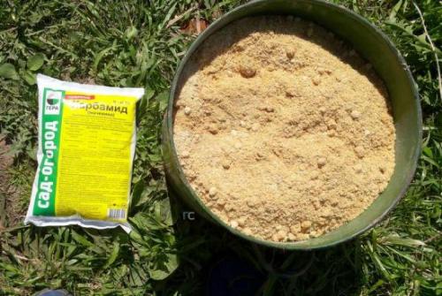 Какие почвы лучше всего подходят для выращивания клубники. Подготовка почвы для посадки весной