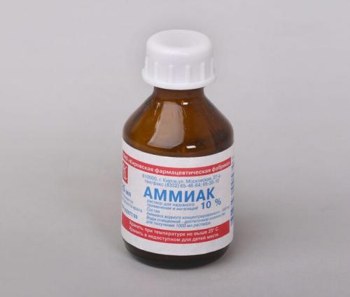 Можно ли использовать домашние удобрения для клубники. Какие народные подкормки можно использовать для клубники