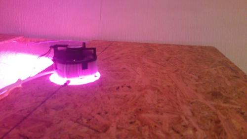 Как обеспечить достаточное освещение для клубники на грядке. Клубника на гидронике. Расчет ФАР. Фито диоды, самостоятельное изготовление.