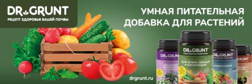 Когда обматывать яблони. Подготовка яблони к зиме осенью