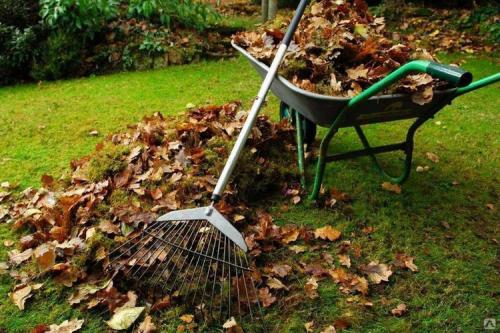 Когда обматывать яблони. Подготовка яблони к зиме осенью