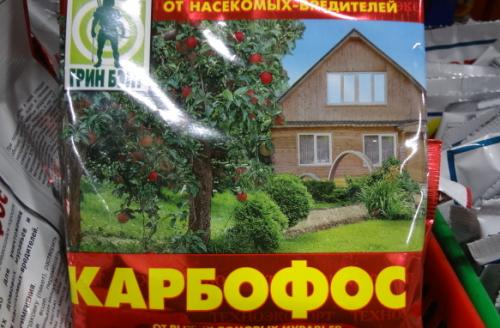 Чем обработать яблони от мышей осенью. Как защитить плодовые деревья от мышей и зайцев зимой 03