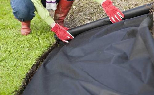 Как выбрать подходящее место для посадки клубники осенью. Как высаживать растения