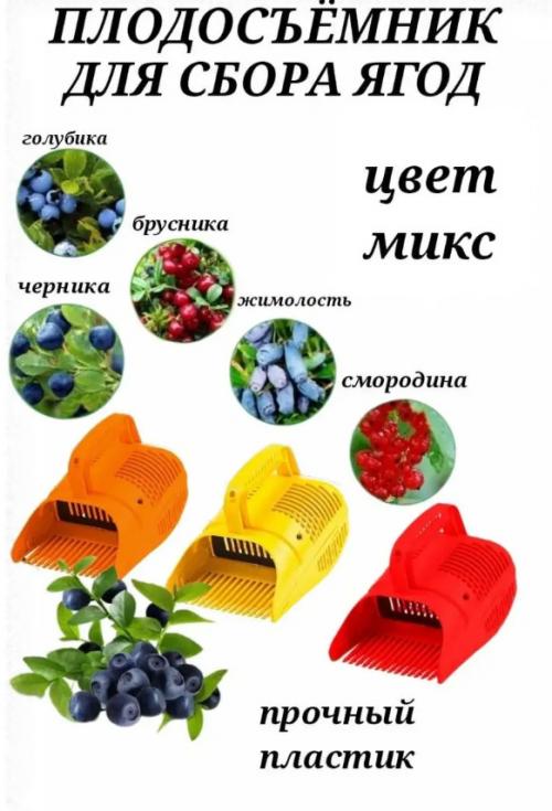Какие инструменты необходимы для сбора и обработки клубники. Лучшие модели по цене