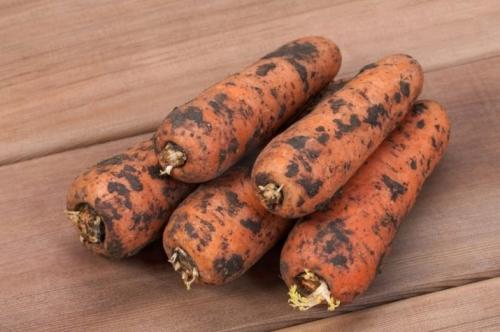 Можно ли хранить картофель в холодилькике и как это делать. Как хранить картофель в холодильнике после обработки 07