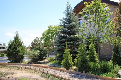 Какие деревья можно сажать во дворе частного дома. Деревья возле дома — виды которые можно и нельзя сажать. 100 фото лучших вариантов для посадки