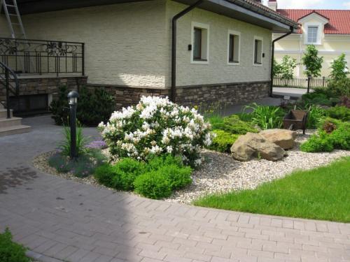 Какие деревья можно сажать во дворе частного дома. Деревья возле дома — виды которые можно и нельзя сажать. 100 фото лучших вариантов для посадки