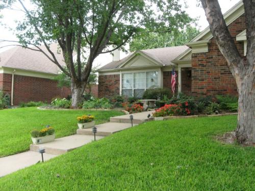 Какие деревья можно сажать во дворе частного дома. Деревья возле дома — виды которые можно и нельзя сажать. 100 фото лучших вариантов для посадки