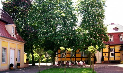 Какие деревья можно сажать во дворе частного дома. Деревья возле дома — виды которые можно и нельзя сажать. 100 фото лучших вариантов для посадки