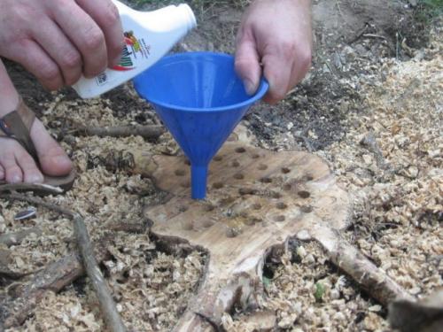 Как избавиться от поросли яблони. Советы и рекомендации: как удалить молодую поросль деревьев с участка