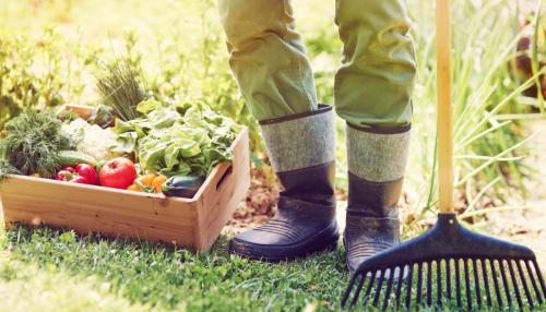 Финская технология выращивания клубники: секреты высоких грядок для богатого урожая 01 Финская технология выращивания клубники: секреты высоких грядок для богатого урожая 01