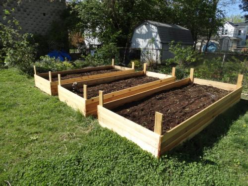 Можно ли использовать высокую грядку для выращивания клубники в регионах с холодным климатом. Виды грядок для выращивания клубники