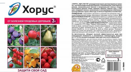 Как можно защитить яблони от парши осенью без использования химических средств. Лечение парши на яблоне