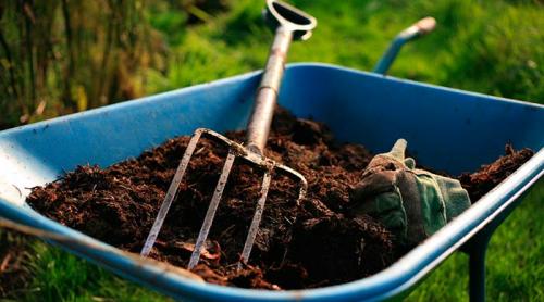 Влияет ли кислотность почвы на урожайность клубники. Какая кислотность почвы подходит для клубники и земляники?