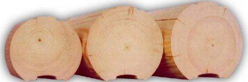 Дом из оцилиндрованного бревна 10 н.  Сложности строительства и планировки