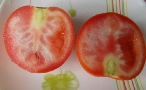 Почему у томатов белая мякоть у плодоножки. Почему появляются белые плодоножки внутри помидоров - причины 06