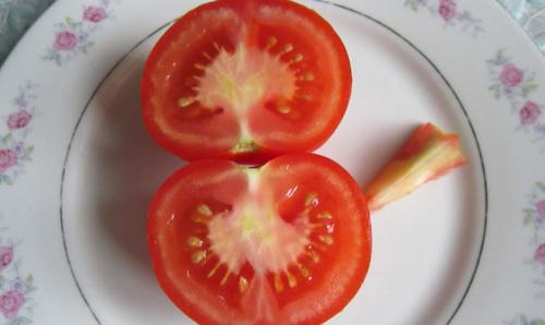 Почему у томатов белая мякоть у плодоножки. Почему появляются белые плодоножки внутри помидоров - причины 02