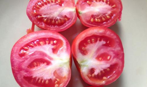 Почему у томатов белая мякоть у плодоножки. Почему появляются белые плодоножки внутри помидоров - причины 01