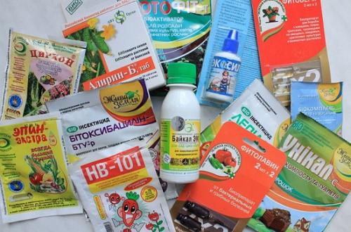 Биопрепараты от вредителей сада. Группы биопрепаратов от вредителей и болезней растений