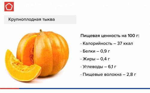 Дозревает ли срезанная тыква. Что делать, если тыква не дозрела, а лоза уже погибла: превращаем зеленый плод в оранжевый 22 Дозревает ли срезанная тыква. Что делать, если тыква не дозрела, а лоза уже погибла: превращаем зеленый плод в оранжевый 22