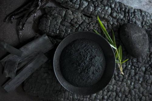 Как спасти ствол яблони. Болезни 15