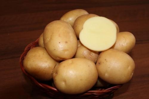 лучшие сорта картофеля для хранения. как грамотно выбрать сорт картофеля на хранение на зиму?