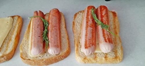 Какие особенности использования электрогриля в российских условиях. Как приготовить вкусные мясо, птицу и рыбу на электрогриле