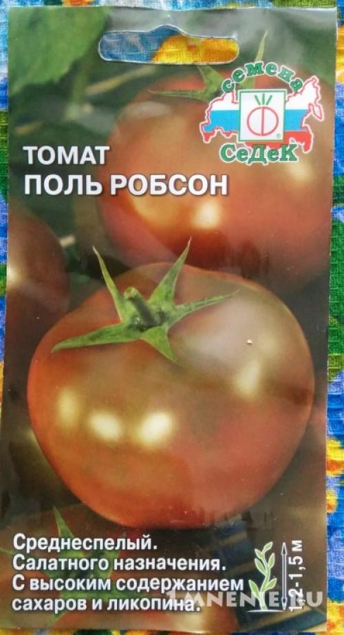 Почему сорт томата Поль Робсон стал популярным среди садоводов 11 Почему сорт томата Поль Робсон стал популярным среди садоводов 11