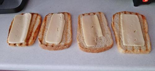 Какие особенности использования электрогриля в российских условиях. Как приготовить вкусные мясо, птицу и рыбу на электрогриле