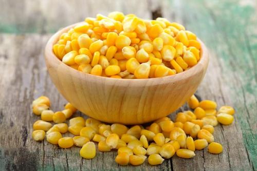 Влияют ли заморозки на содержание питательных веществ в кукурузе. Как хранить свежую кукурузу в початках и зернами, условия и сроки