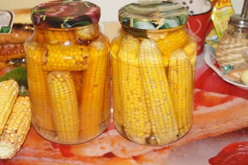 Влияют ли заморозки на содержание питательных веществ в кукурузе. Как хранить свежую кукурузу в початках и зернами, условия и сроки