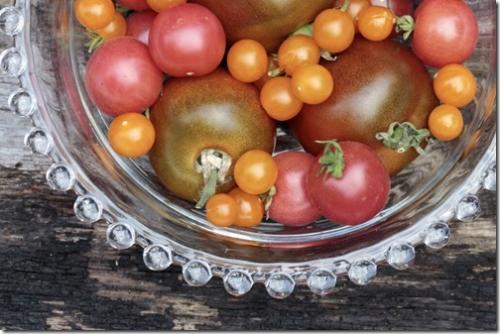 Какой сезон выращивания наилучшим образом подходит для сорта томата Поль Робсон. Томат Поль Робсон: рост, история и уход за растением