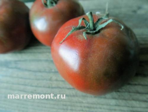 Какой урожай можно ожидать от сорта томата Поль Робсон. Выращивание и уход