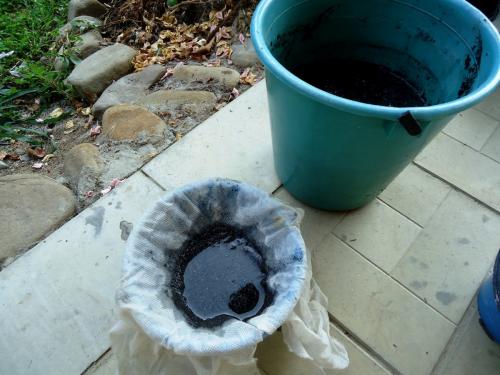 Какие растения отпугивают колорадского жука. Биопрепараты против колорадского жука