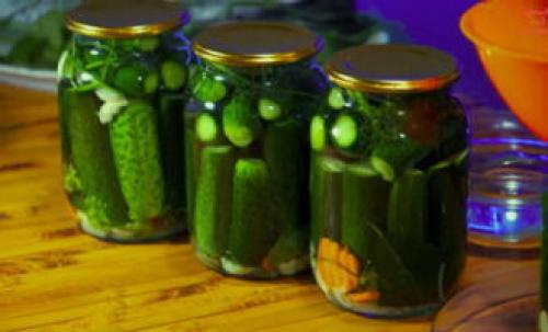 Маленькие консервированные огурчики на зиму. Консервированные огурцы на зиму