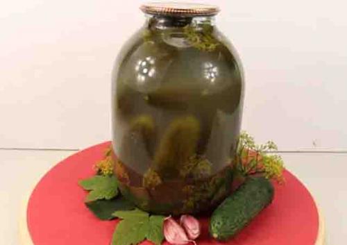 Какие секреты помогут сохранить огурцы в банке свежими и хрустящими. Как засолить огурцы на зиму в банках, чтобы были хрустящие