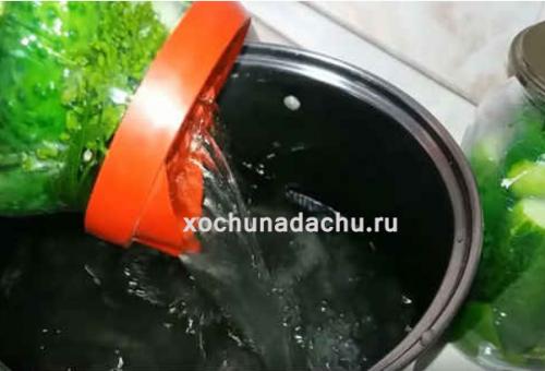 Сколько времени потребуется на подготовку и консервацию огурцов. Самый вкусный рецепт огурцов на 1 литровую банку на зиму