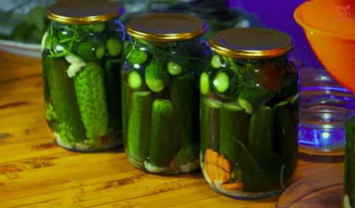 Маленькие консервированные огурчики на зиму. Консервированные огурцы на зиму