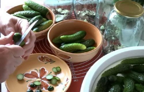 Какой процесс консервации огурцов самый простой для новичков. Маринованные огурцы в банке без стерилизации