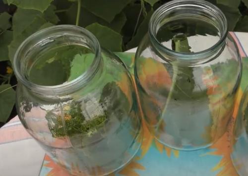 Как подобрать маринад по вкусу для огурцов в 1-литровых банках. Маринованные огурцы на зиму хрустящие и вкусные в 1 литровых банках — рецепт с 9% уксусом