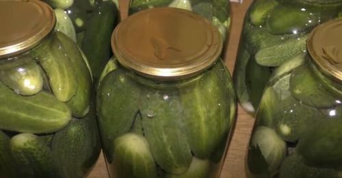 Как подобрать маринад по вкусу для огурцов в 1-литровых банках. Маринованные огурцы на зиму хрустящие и вкусные в 1 литровых банках — рецепт с 9% уксусом