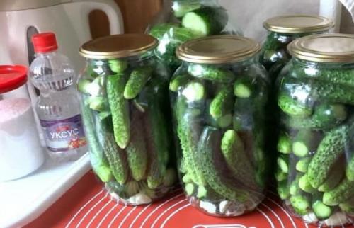 Какой процесс консервации огурцов самый простой для новичков. Маринованные огурцы в банке без стерилизации