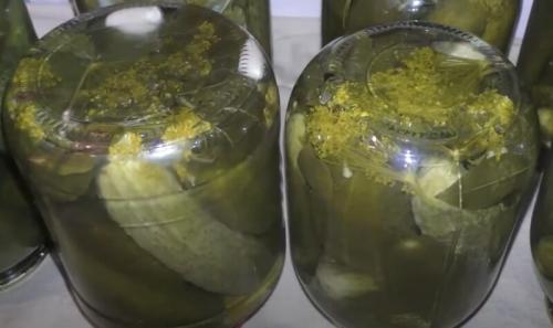 Как подобрать маринад по вкусу для огурцов в 1-литровых банках. Маринованные огурцы на зиму хрустящие и вкусные в 1 литровых банках — рецепт с 9% уксусом