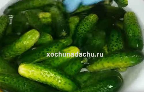 Сколько времени потребуется на подготовку и консервацию огурцов. Самый вкусный рецепт огурцов на 1 литровую банку на зиму