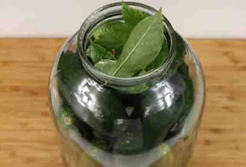 Какие секреты помогут сохранить огурцы в банке свежими и хрустящими. Как засолить огурцы на зиму в банках, чтобы были хрустящие