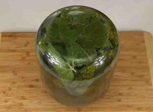 Какие секреты помогут сохранить огурцы в банке свежими и хрустящими. Как засолить огурцы на зиму в банках, чтобы были хрустящие