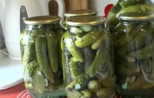 Какой процесс консервации огурцов самый простой для новичков. Маринованные огурцы в банке без стерилизации