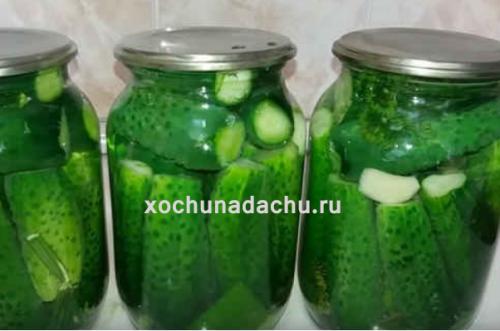 Сколько времени потребуется на подготовку и консервацию огурцов. Самый вкусный рецепт огурцов на 1 литровую банку на зиму