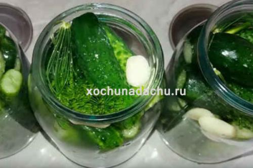 Сколько времени потребуется на подготовку и консервацию огурцов. Самый вкусный рецепт огурцов на 1 литровую банку на зиму