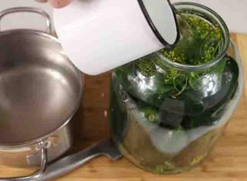 Какие секреты помогут сохранить огурцы в банке свежими и хрустящими. Как засолить огурцы на зиму в банках, чтобы были хрустящие